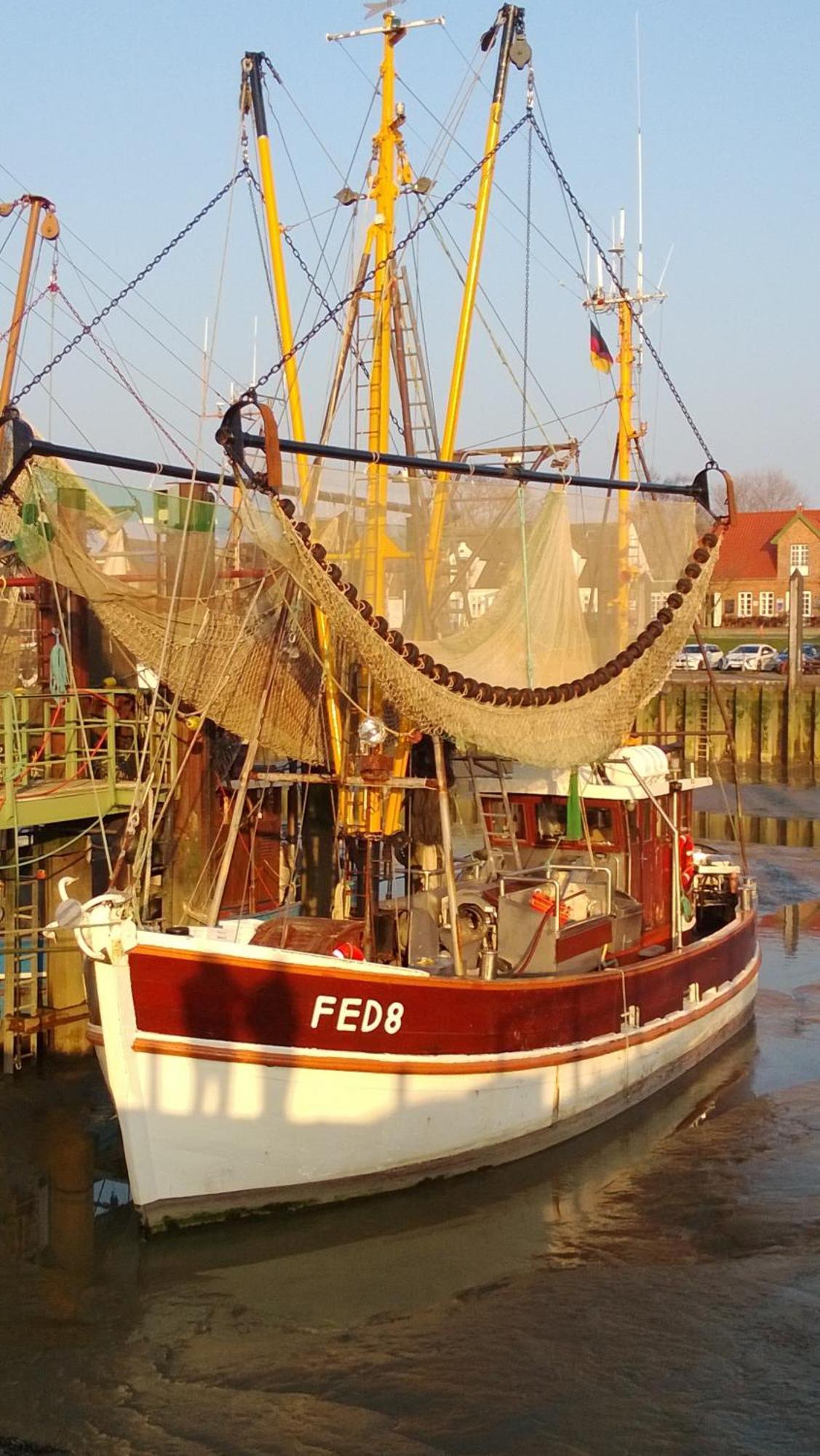 Ferienwohnung Conny Butjadingen Esterno foto